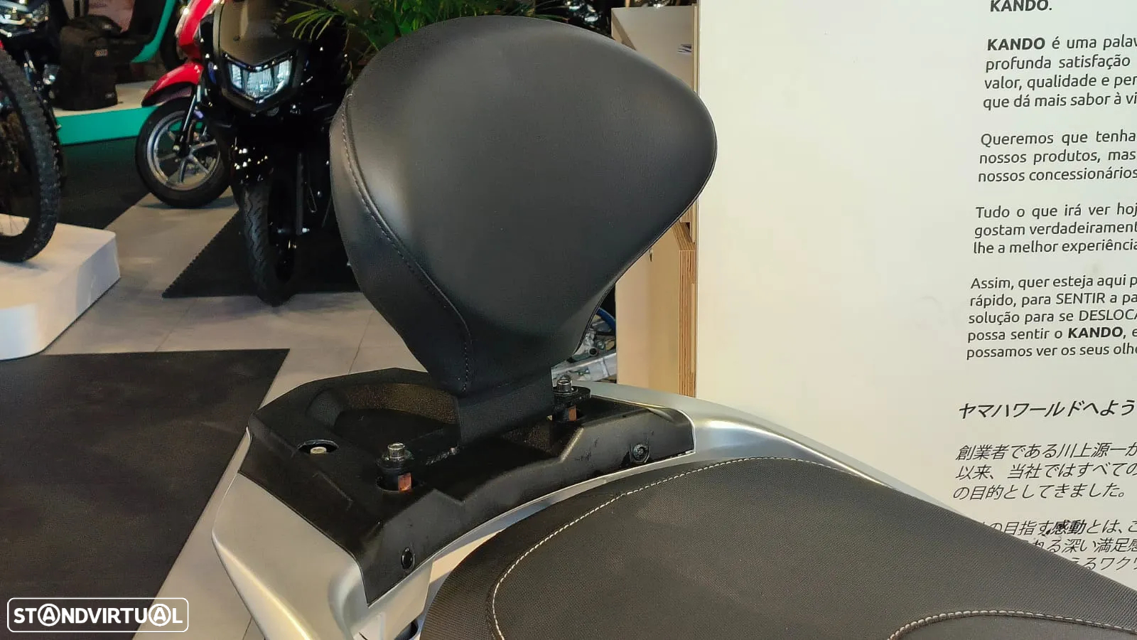 Kawasaki J300 - 8