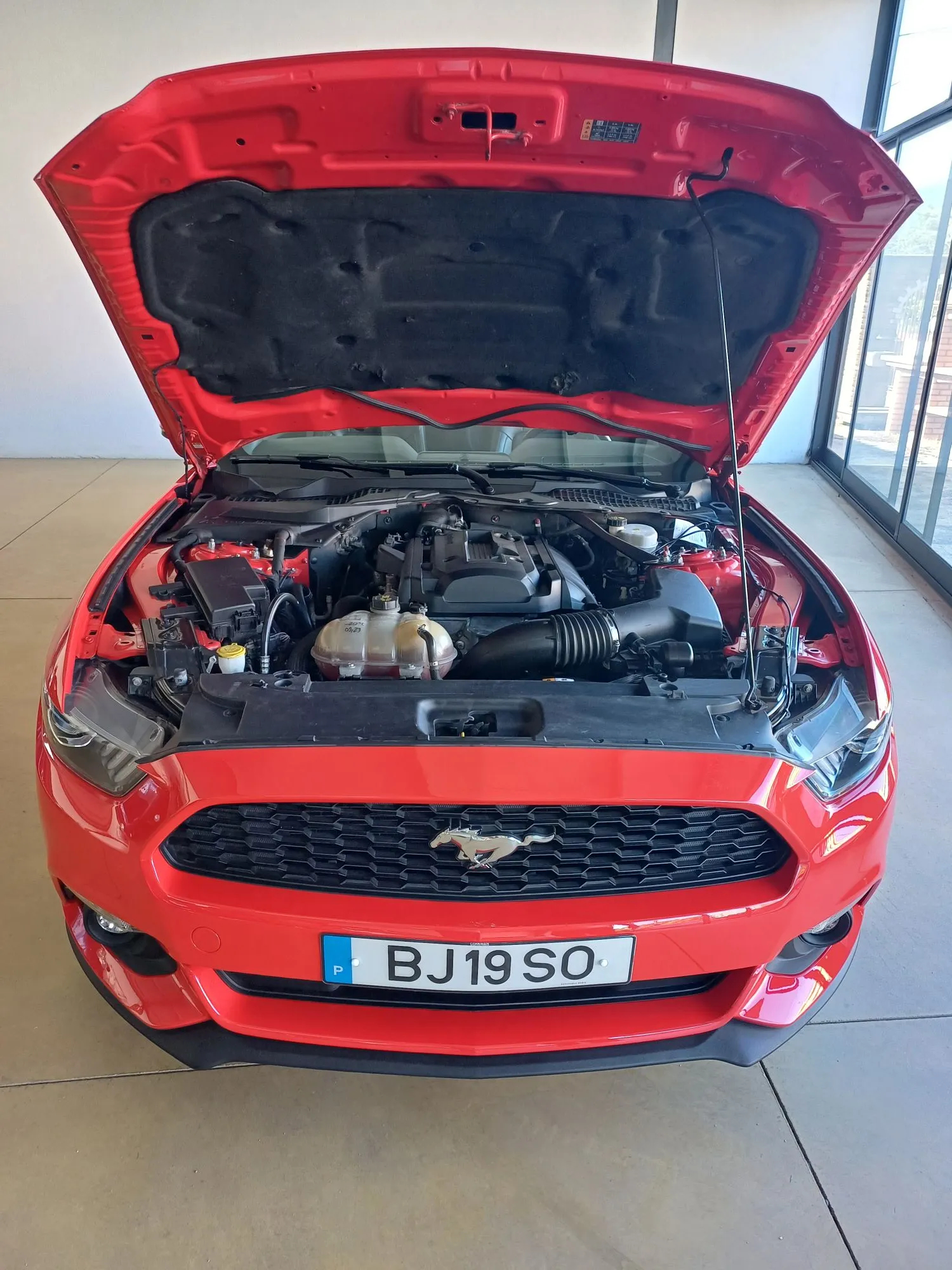 Ford Mustang Cabrio 2.3 Eco Boost - 14