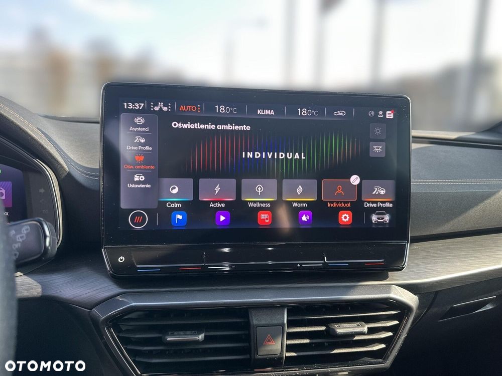 Cupra Formentor 2.5 TSI 4Drive VZ5 Enceladus Grey DSG - 27