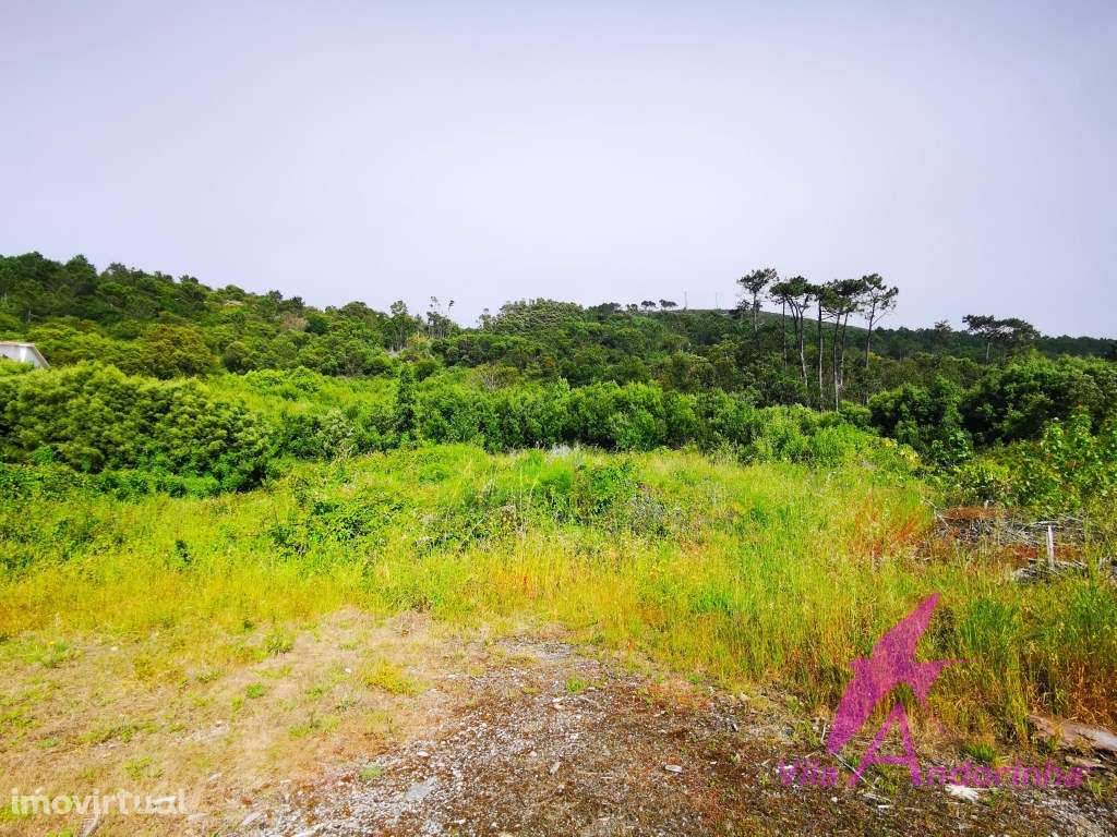 Terreno com 9670 m2 em Moledo - Grande imagem: 2/6