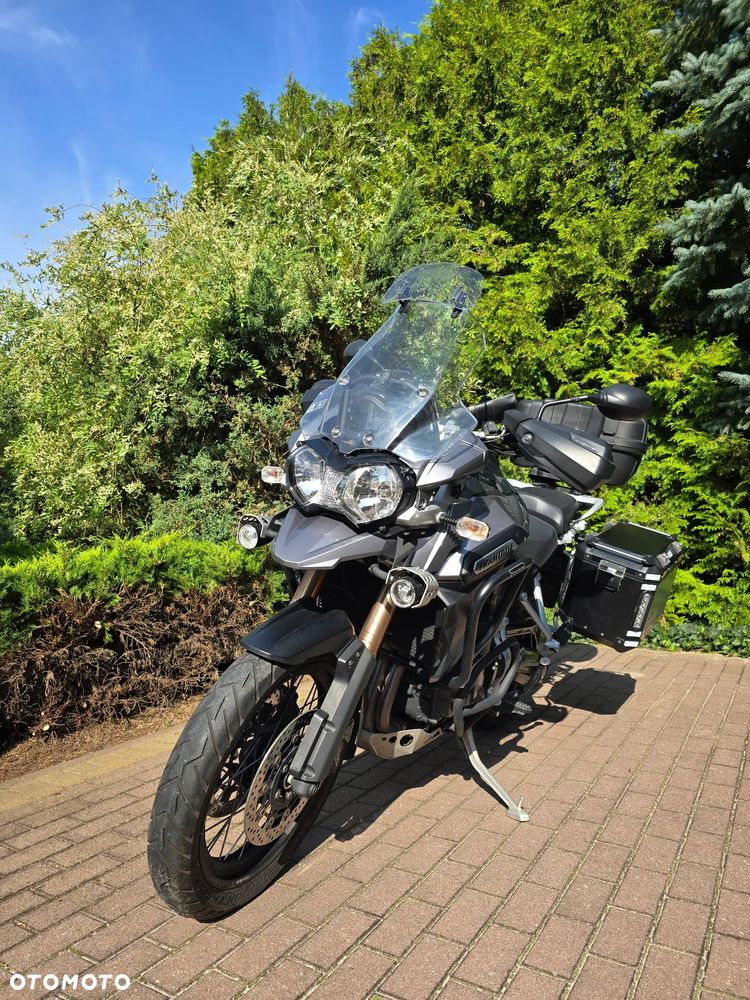 Triumph Tiger - 2