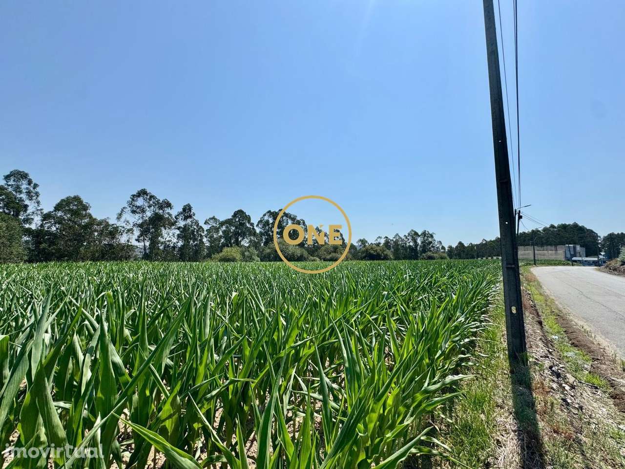 Terreno rústico com viabilidade de construção em Covelas, Trofa - Grande imagem: 4/10