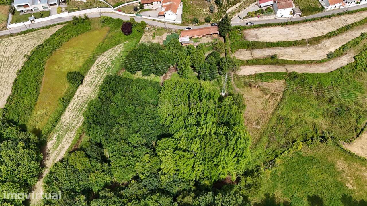 Terreno para construção em Paços de Vilharigues – Vouzela - Grande imagem: 2/13