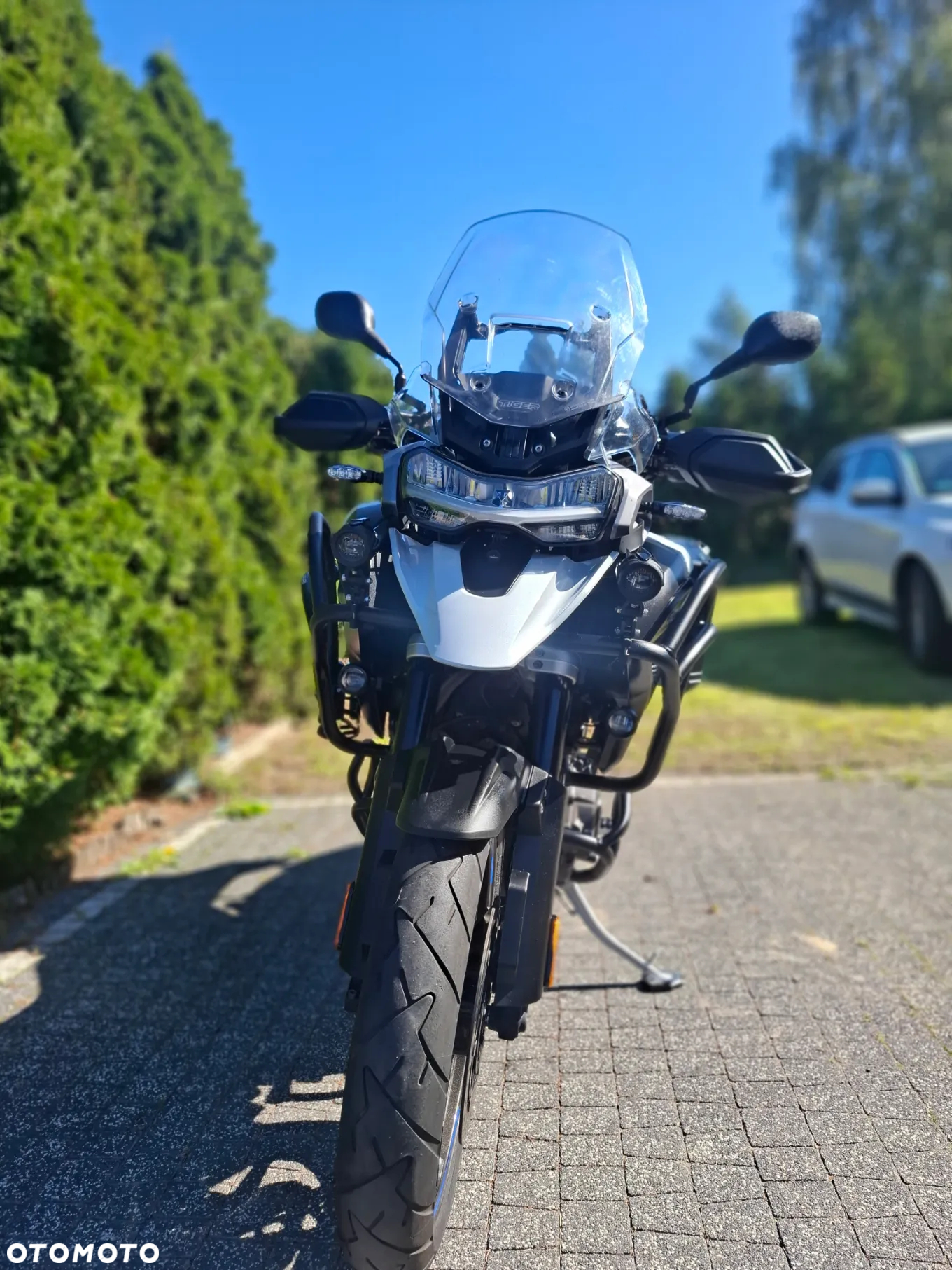 Triumph Tiger - 6