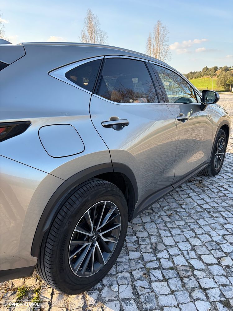 Lexus NX 450h+ Executive+ - 7