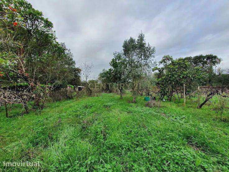 Terreno Rústico em Gonçalo, Guarda - 39.000€ - Grande imagem: 5/10