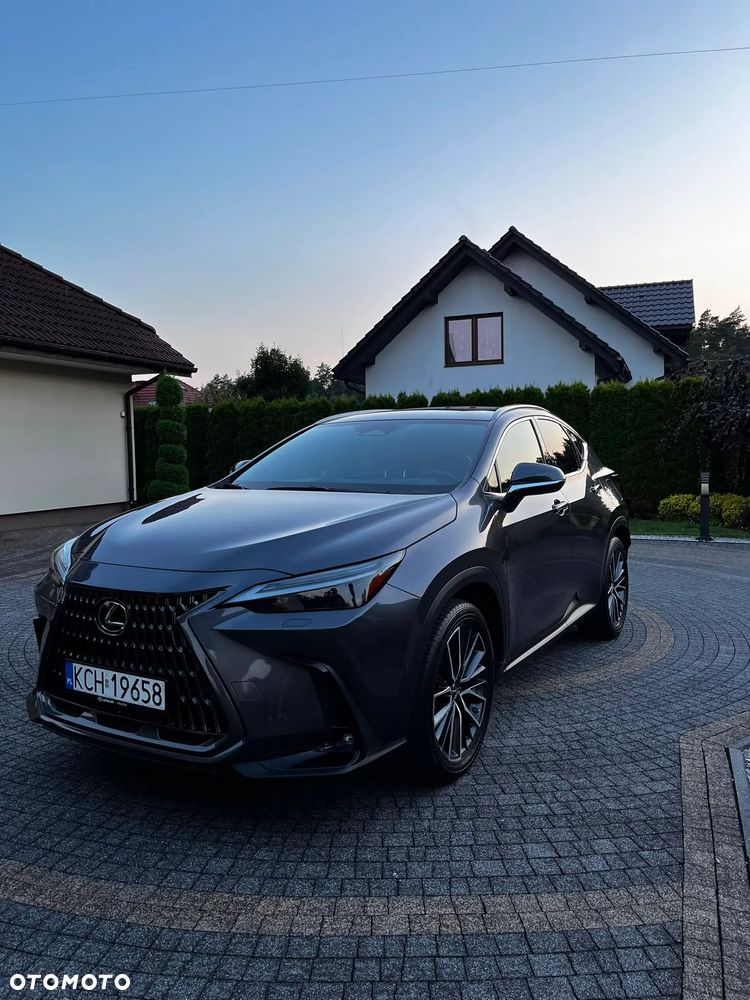 Lexus NX 450h+ Omotenashi AWD - 1