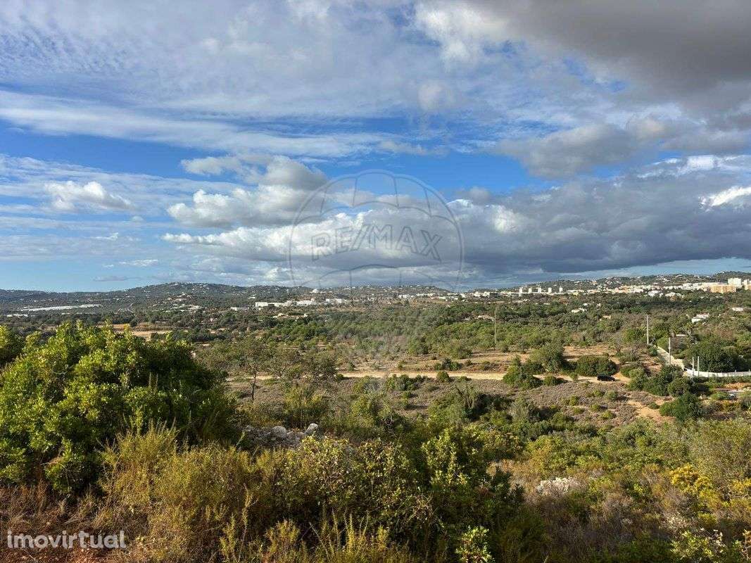 Terreno  para venda - Grande imagem: 3/8