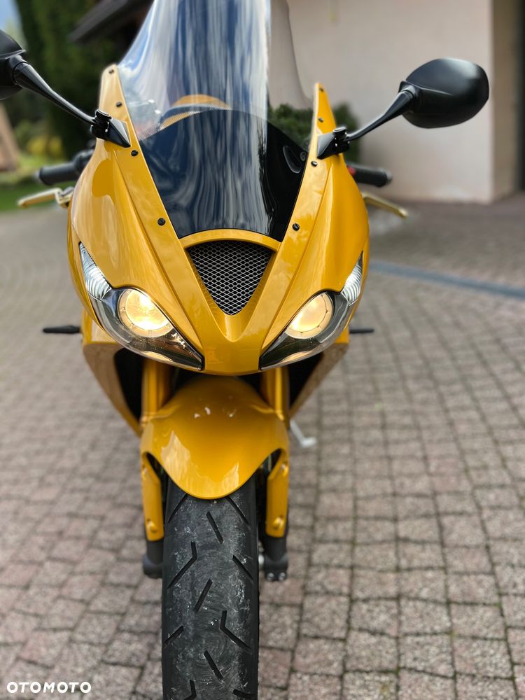 Triumph Daytona - 36