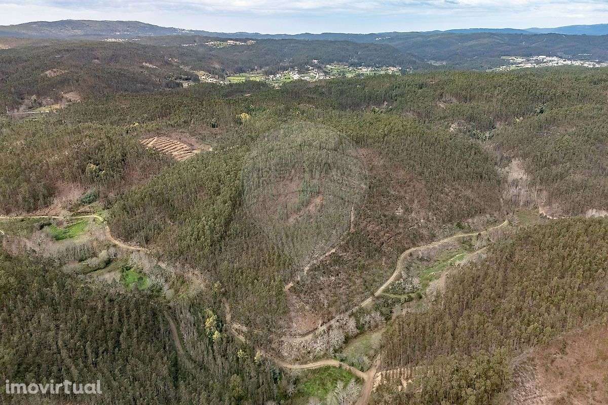 Terreno  para venda - Grande imagem: 3/9