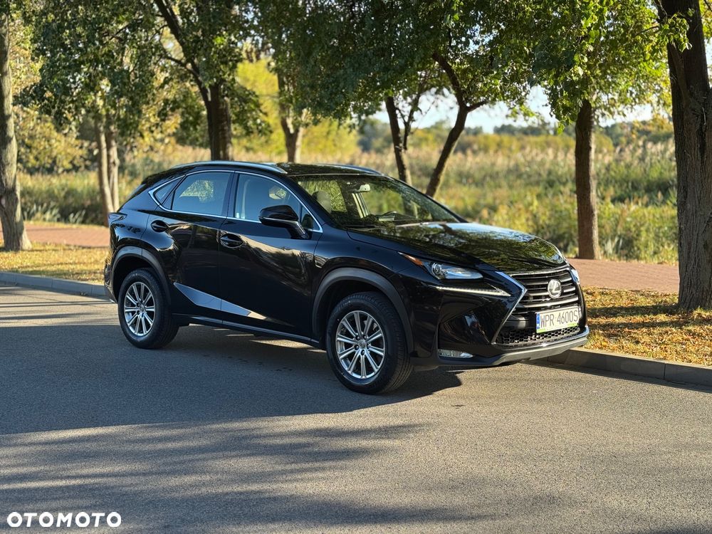 Lexus NX - 6