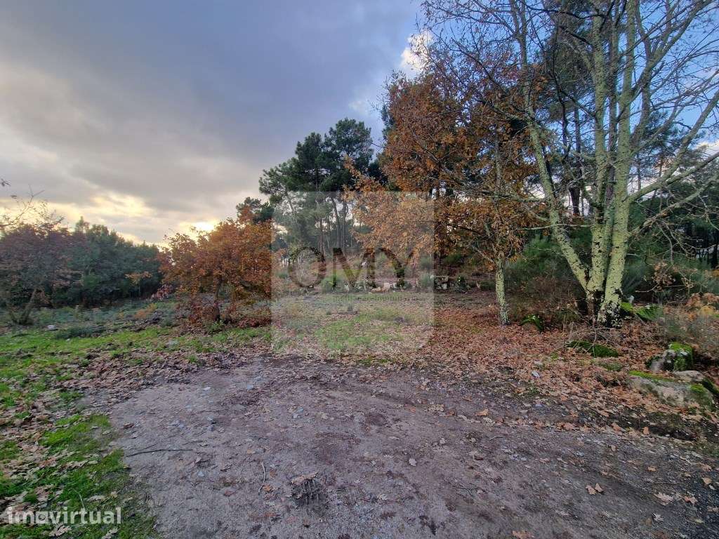 Terreno de 6.750 m2 em Adoufe, Vila Real - Grande imagem: 4/15