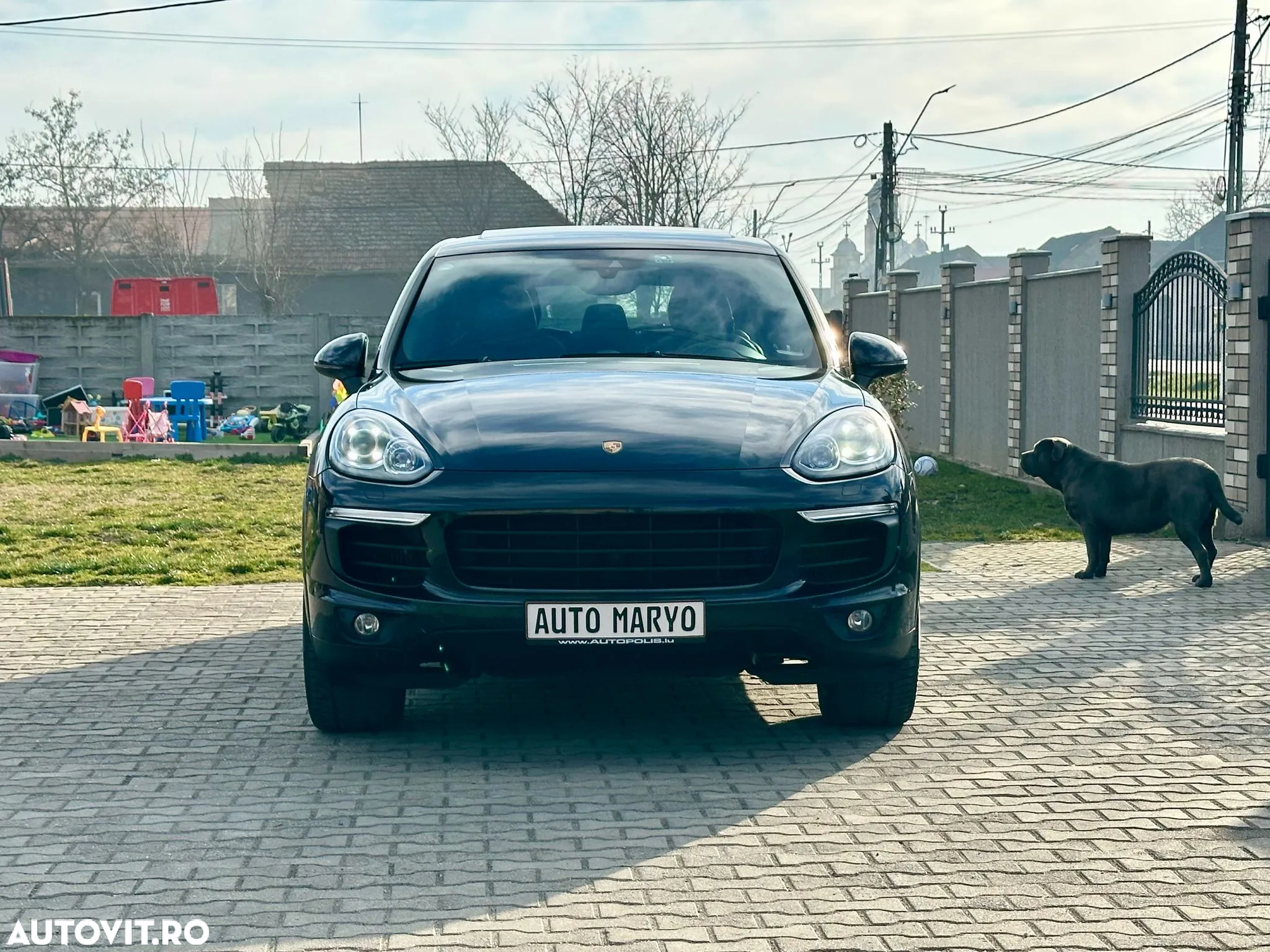 Porsche Cayenne Diesel Platinum Edition - 15