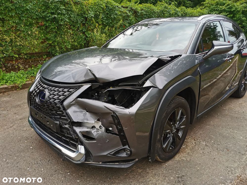 Lexus UX 250h - 14