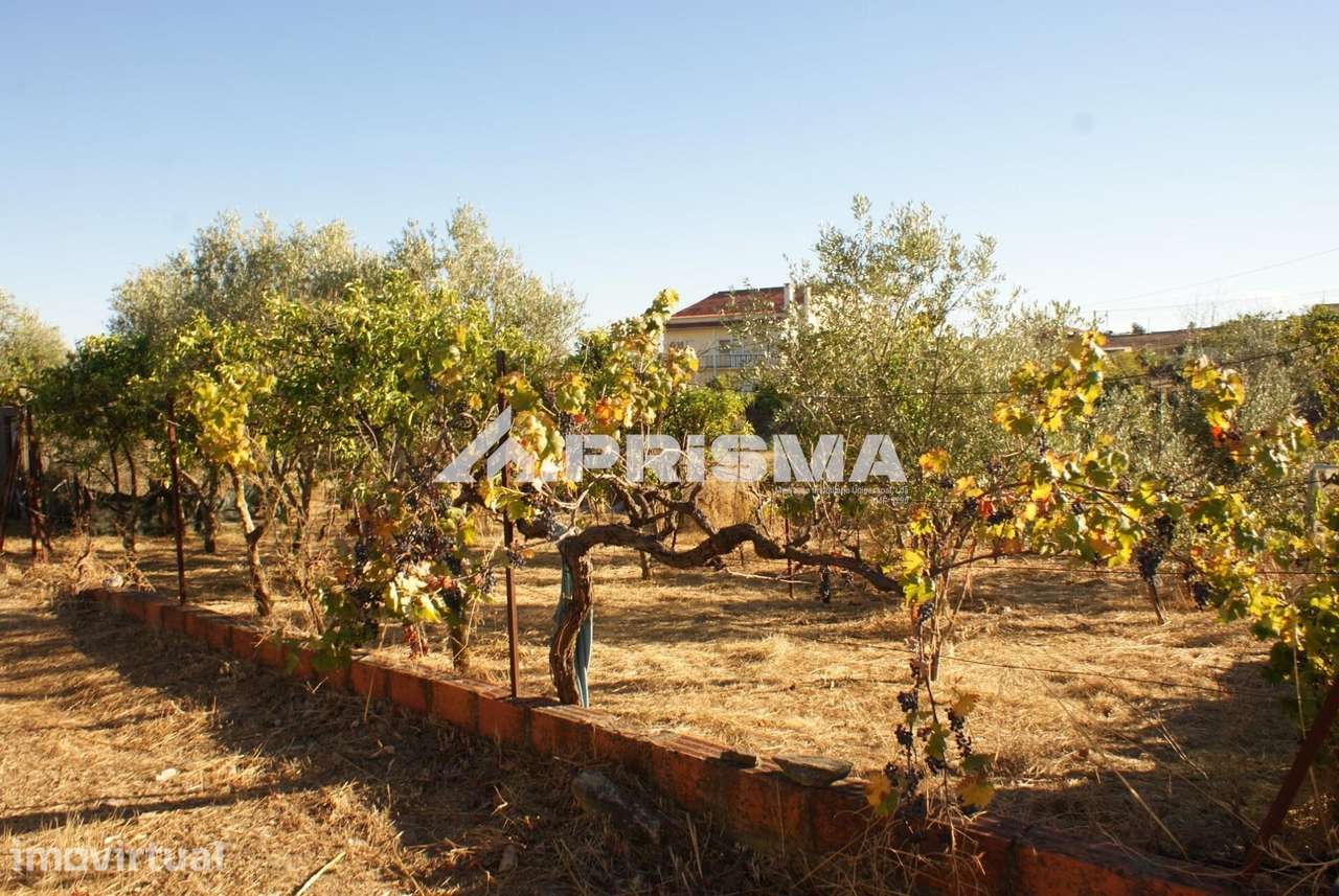 TERRENO URBANO | 1.140 m2 | CASTELO BRANCO - Grande imagem: 5/19