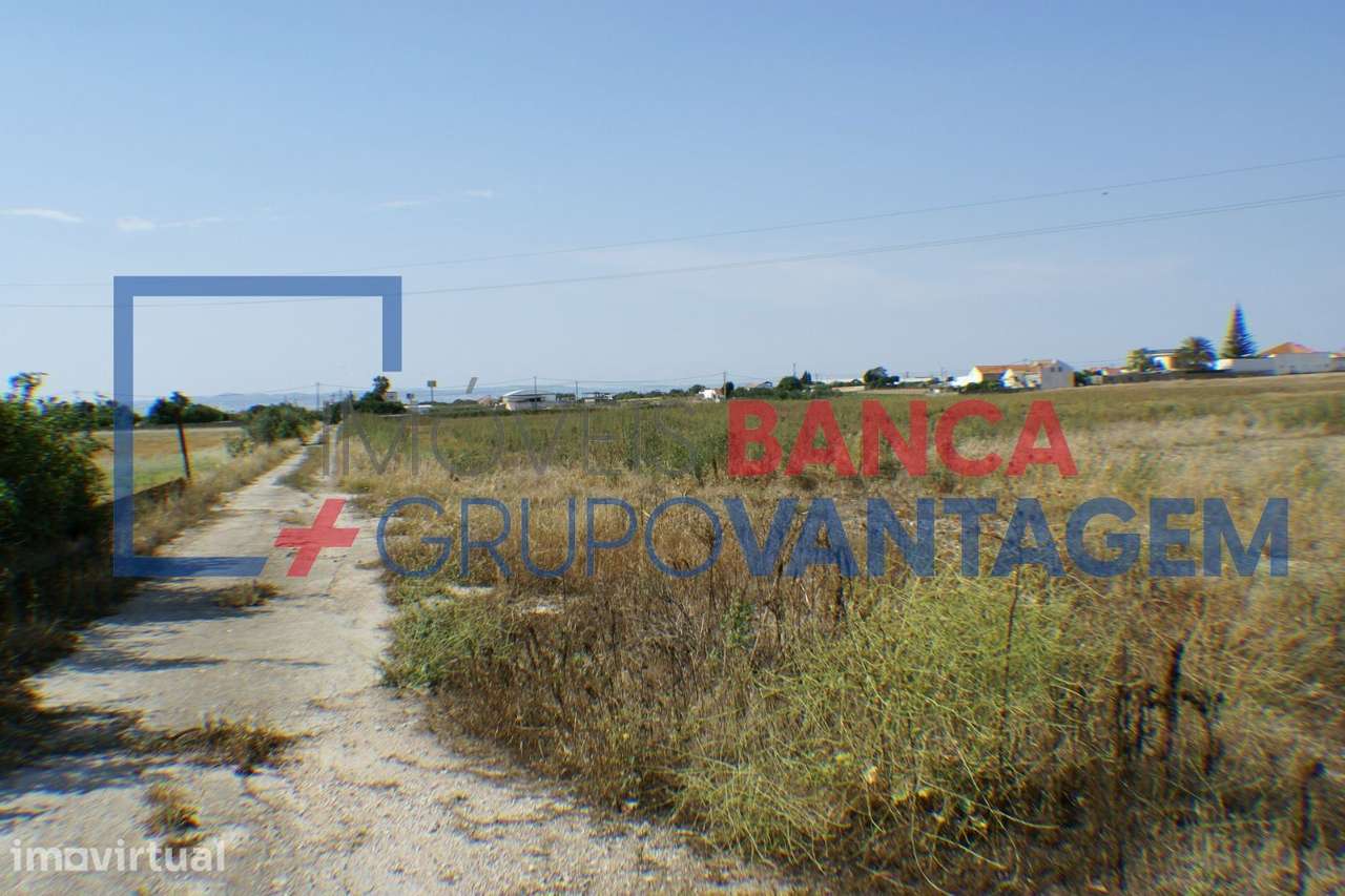 Terreno misto no Montijo - Grande imagem: 4/20