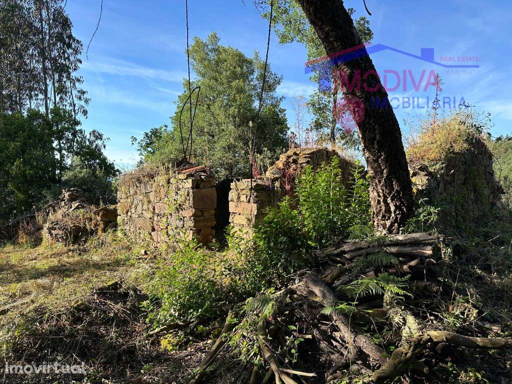 Terreno com 13890m2 e ruina com vista para a Barragem do Cabril - Grande imagem: 2/60