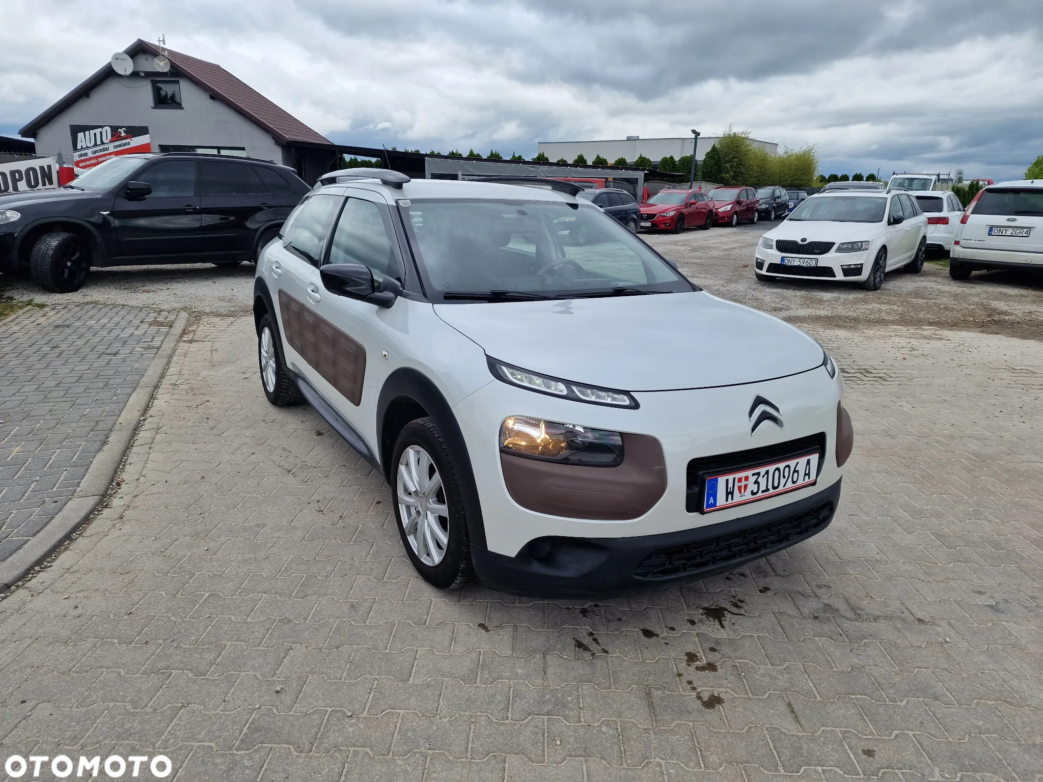 Citroën C4 Cactus 1.2 PureTech Shine Edition - 6