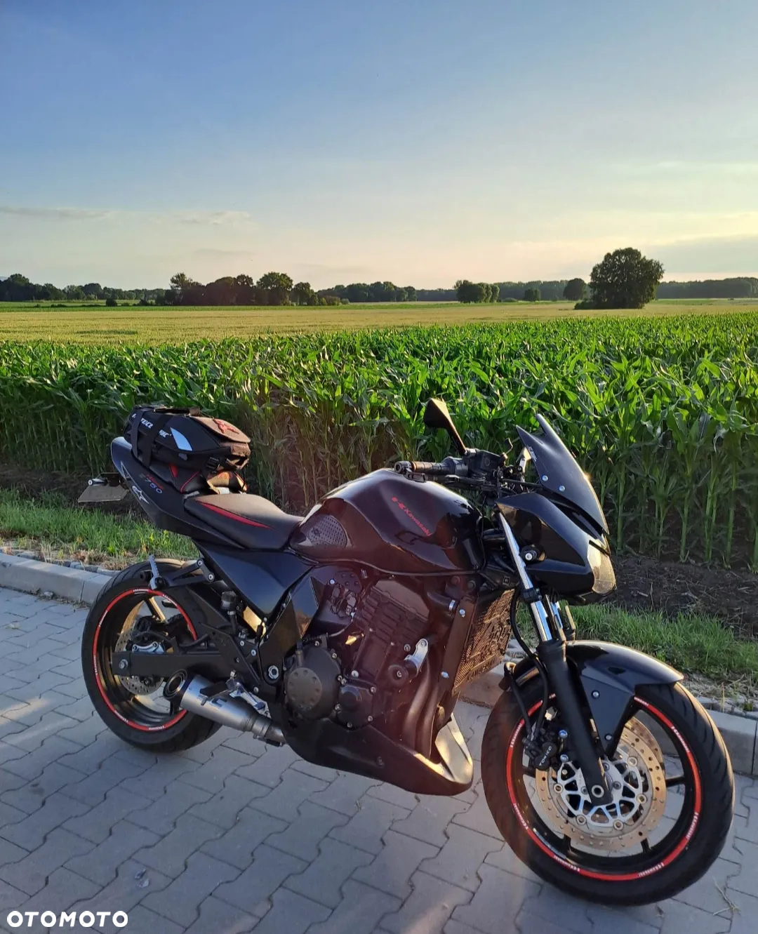 Kawasaki Z - 4