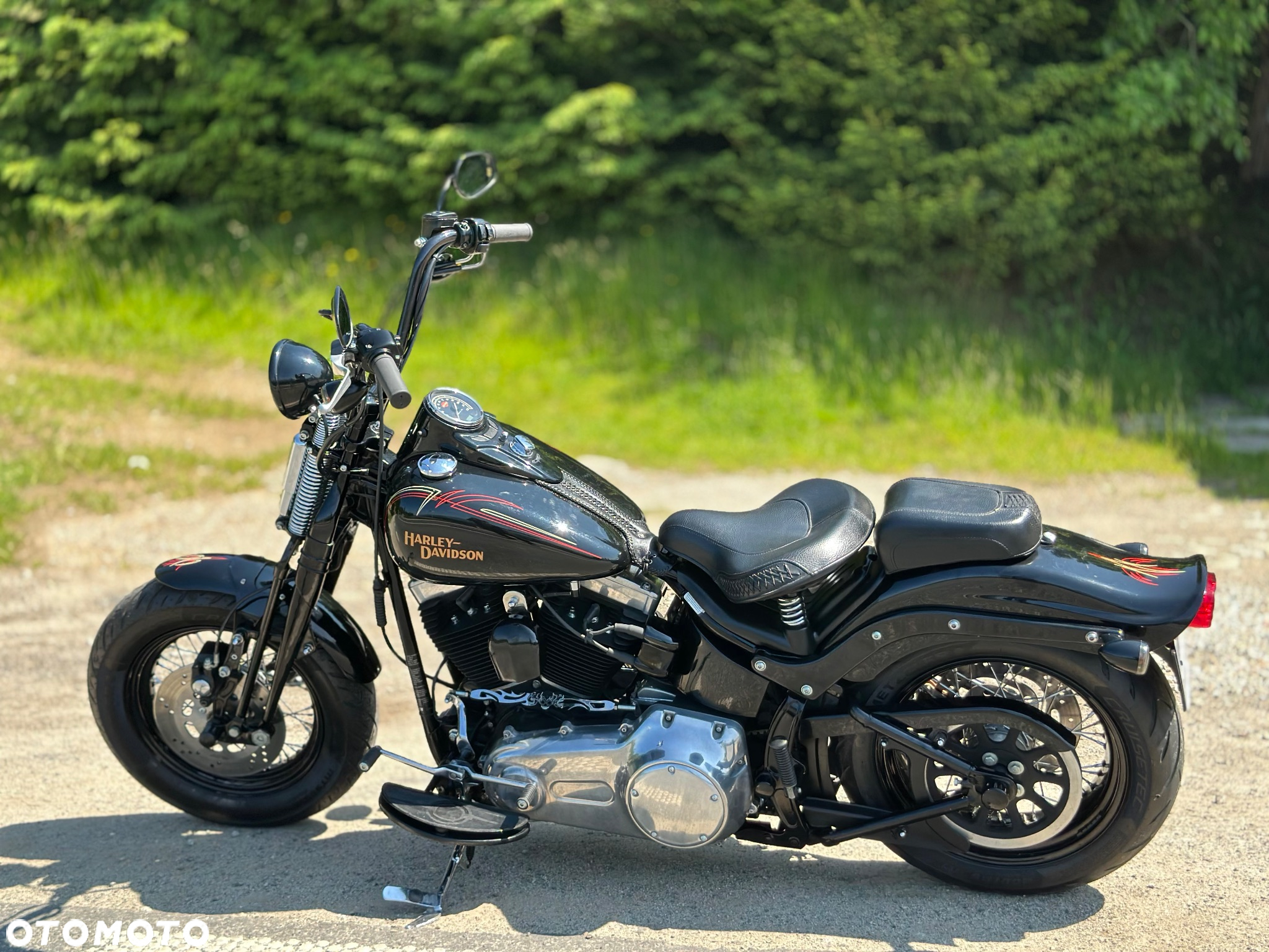 Harley-Davidson Softail Cross Bones - 8