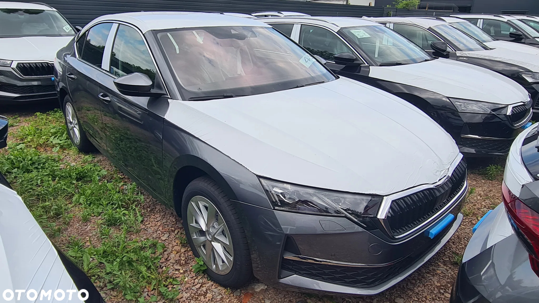 Skoda Octavia 1.5 TSI Edition 130 Selection - 2