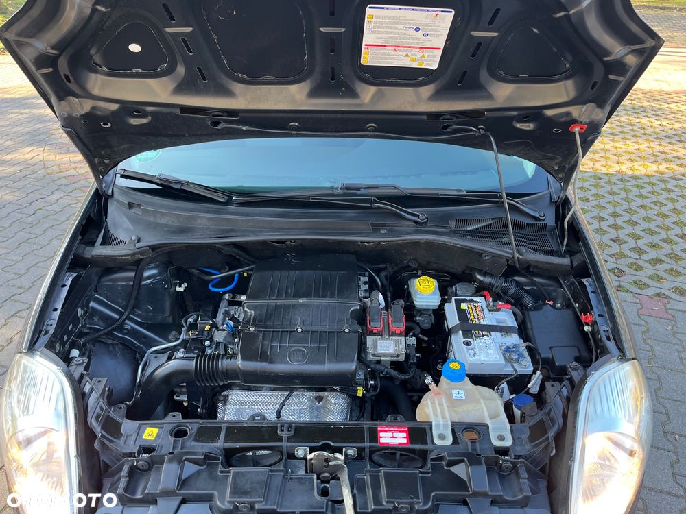 Fiat Punto - 23