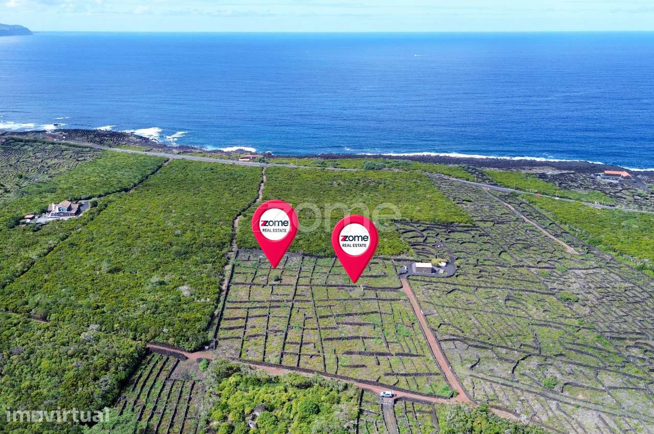 Terrenos Vitivinícolas situados nas Bandeiras na Ilha do Pico - Grande imagem: 4/19