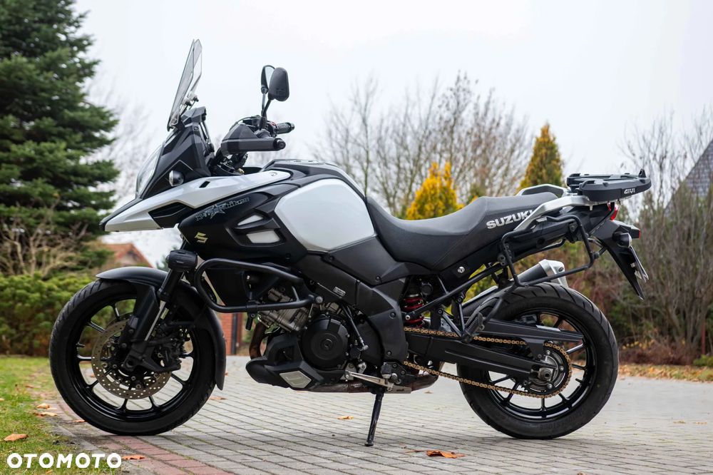 Suzuki DL - 7