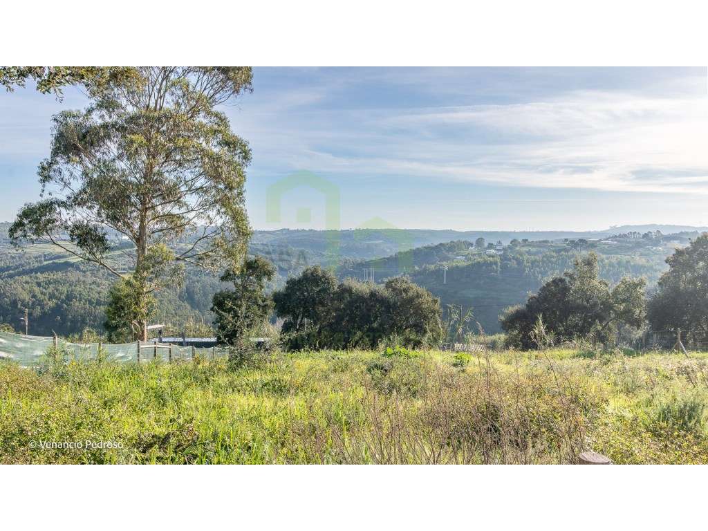 Lote - Ericeira 4 km, A Casa das Casas - Grande imagem: 2/7