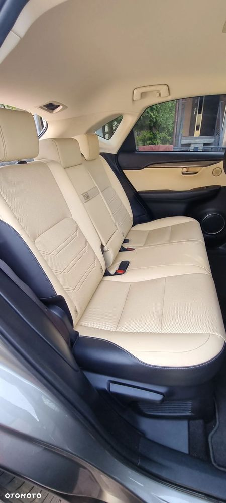 Lexus NX 300h Executive Line - 12