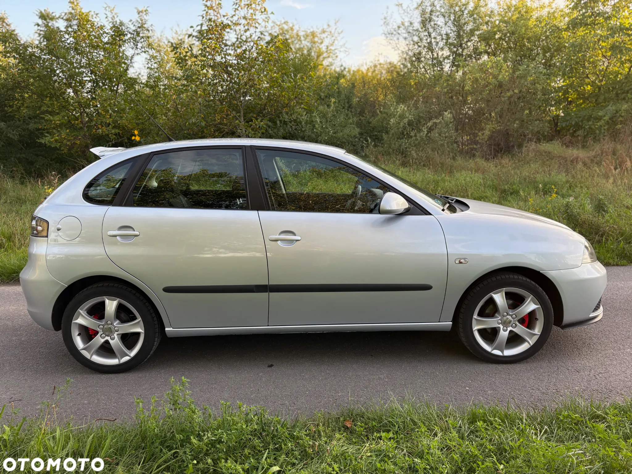 Seat Ibiza 1.4 16V Sport - 6