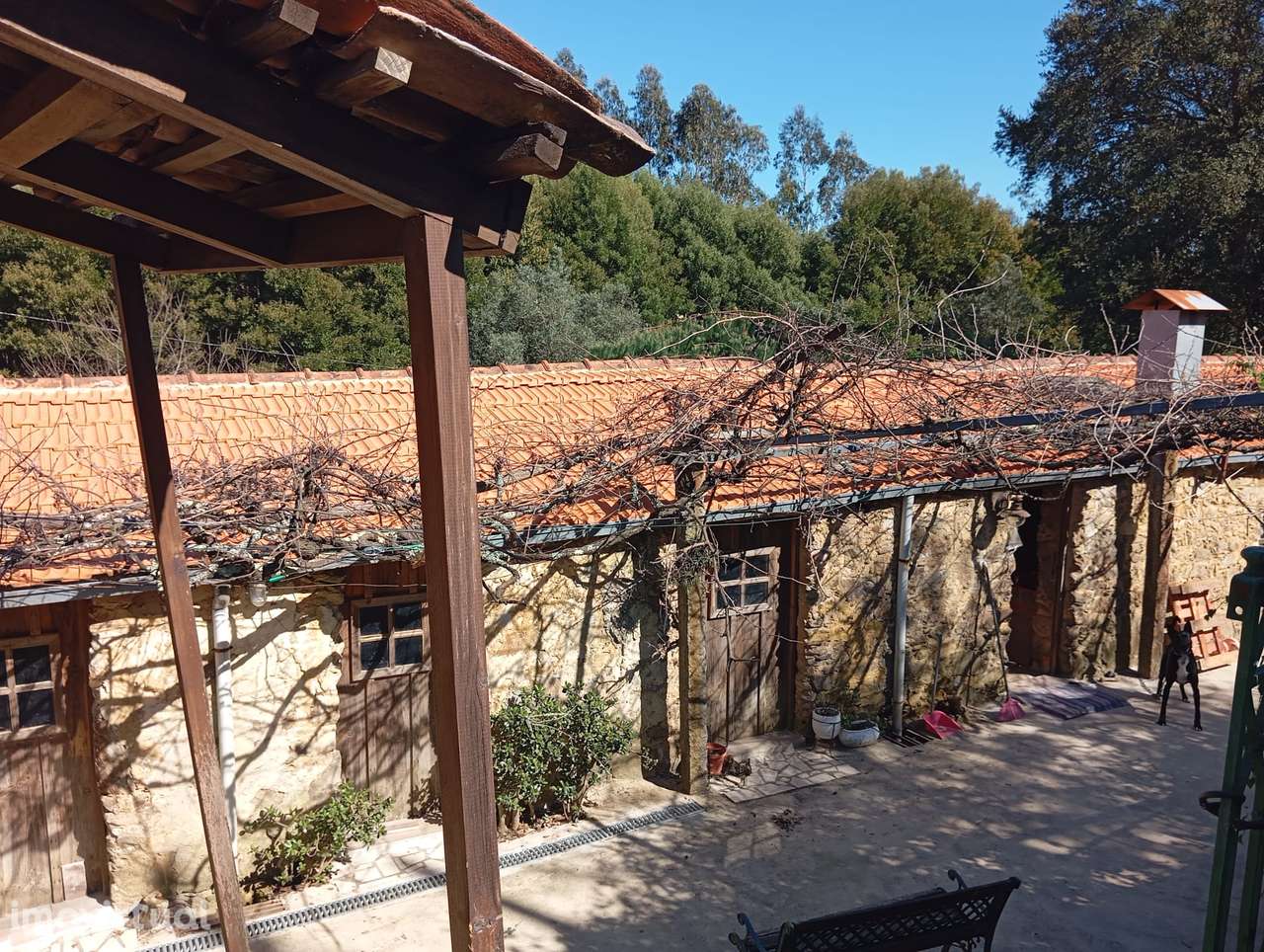 EXCLUSIVO - Magnífica quinta com moradia T2 em Palmaz, Oliveira de Aze - Grande imagem: 4/41