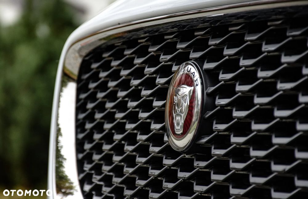 Jaguar E-Pace P250 AWD R-Dynamic S - 17