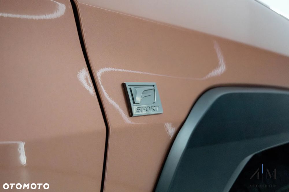 Lexus UX 300h F Sport Design AWD - 36