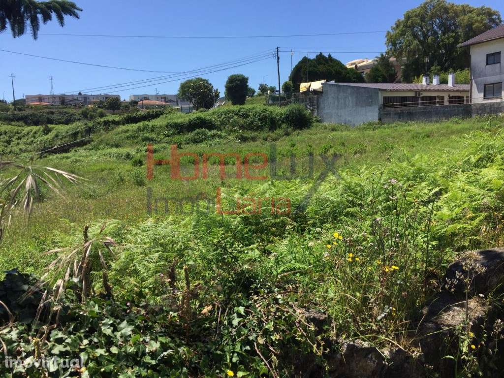 Terreno para construção em Albergaria- a-Velha - Grande imagem: 5/15