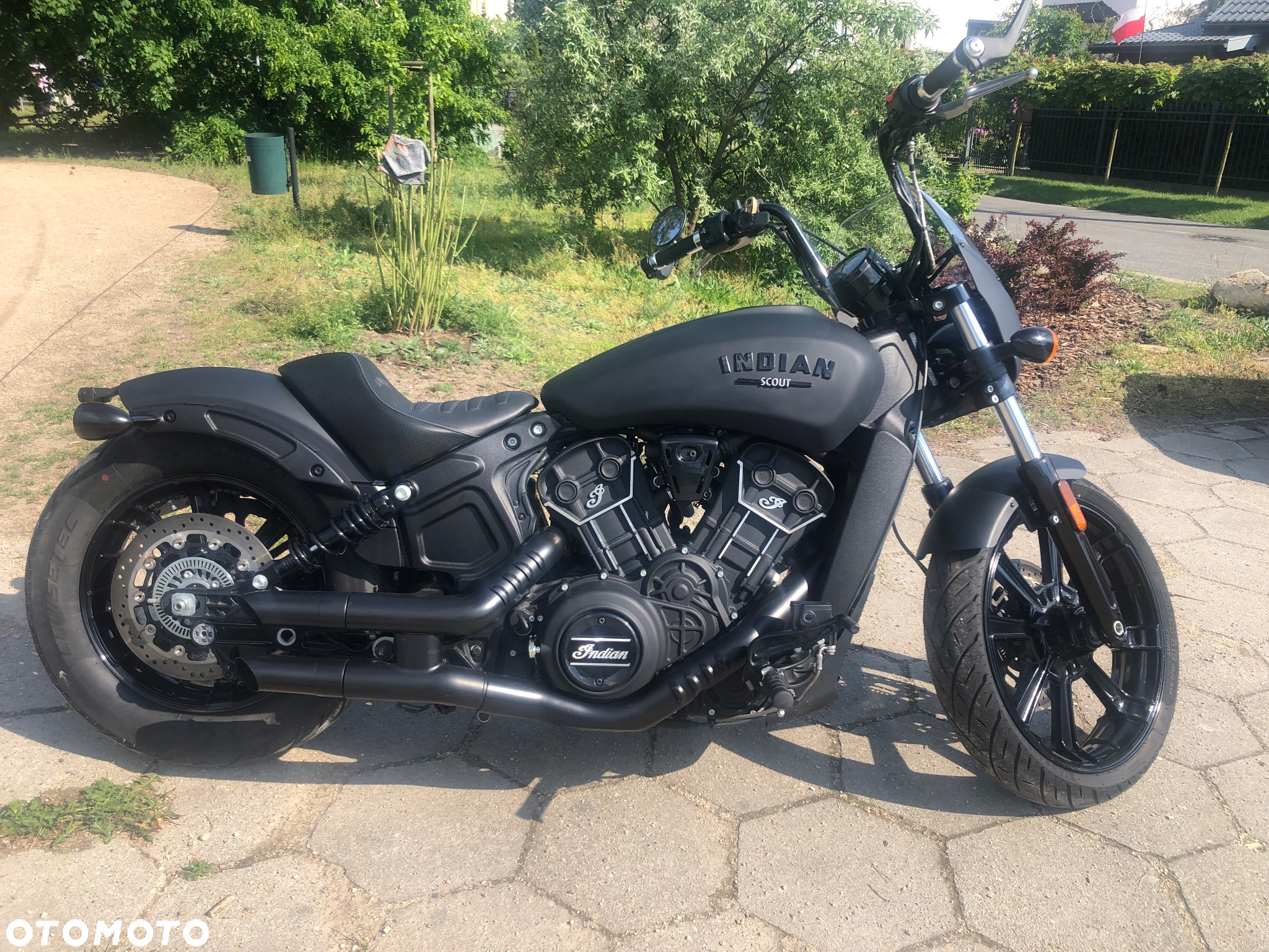 Indian Scout - 17