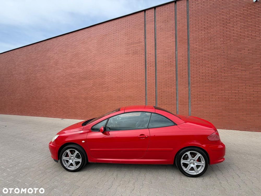 Peugeot 307 135 Sport - 9