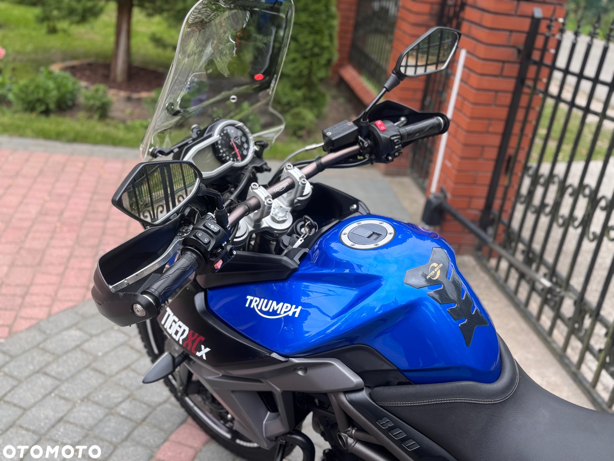 Triumph Tiger - 15