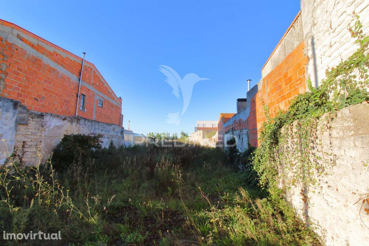 Terreno em Vagos, Aveiro  para construção em altura - Grande imagem: 3/5