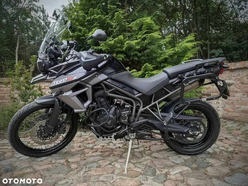 Triumph Tiger