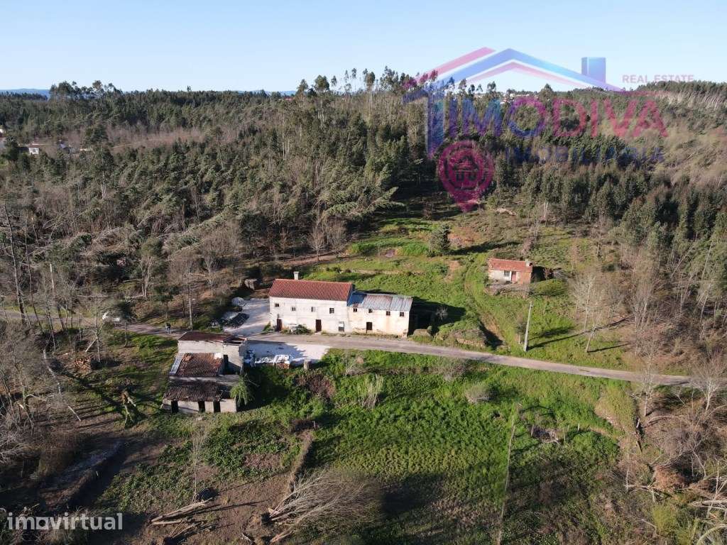 Propriedade com duas casas, anexos, poço e quase 1 hectare de terre... - Grande imagem: 2/60