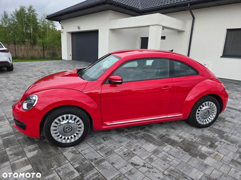 Volkswagen New Beetle - 15