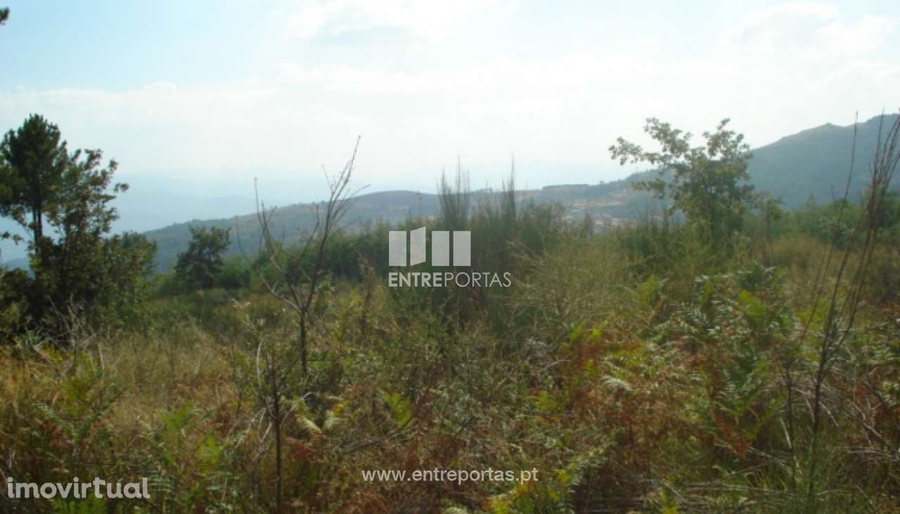 Venda Terreno, Gestaçô, Baião - Grande imagem: 3/4