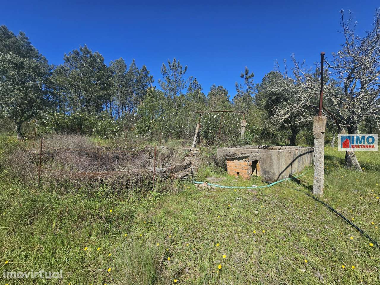 Quinta em Amarelos - 15 min. Castelo Branco - Grande imagem: 5/23
