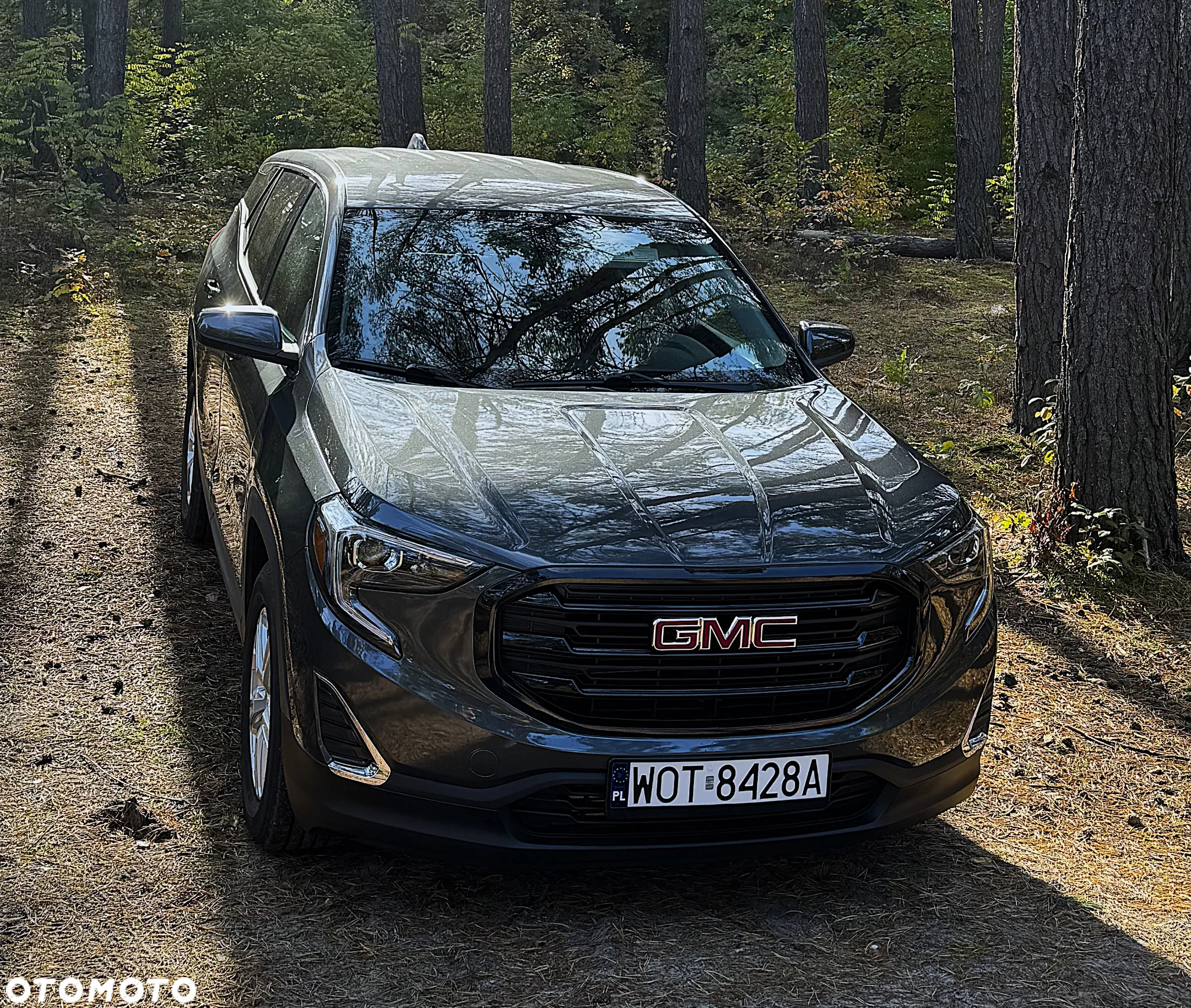 GMC Terrain - 10