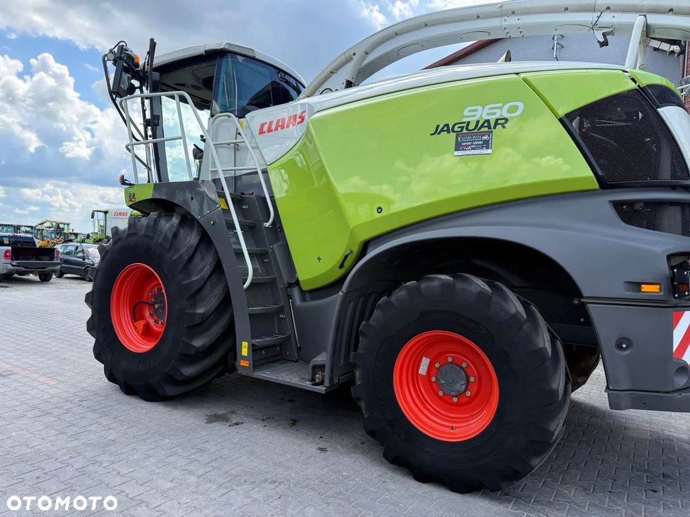 Claas JAGUAR 960 950  ŁADNA TYP 498 shredlage - 14
