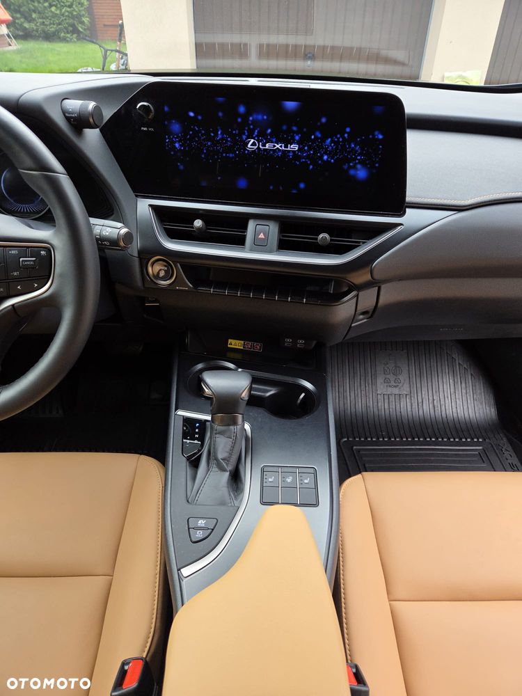 Lexus UX 200 GPF F Sport Edition 2WD - 12