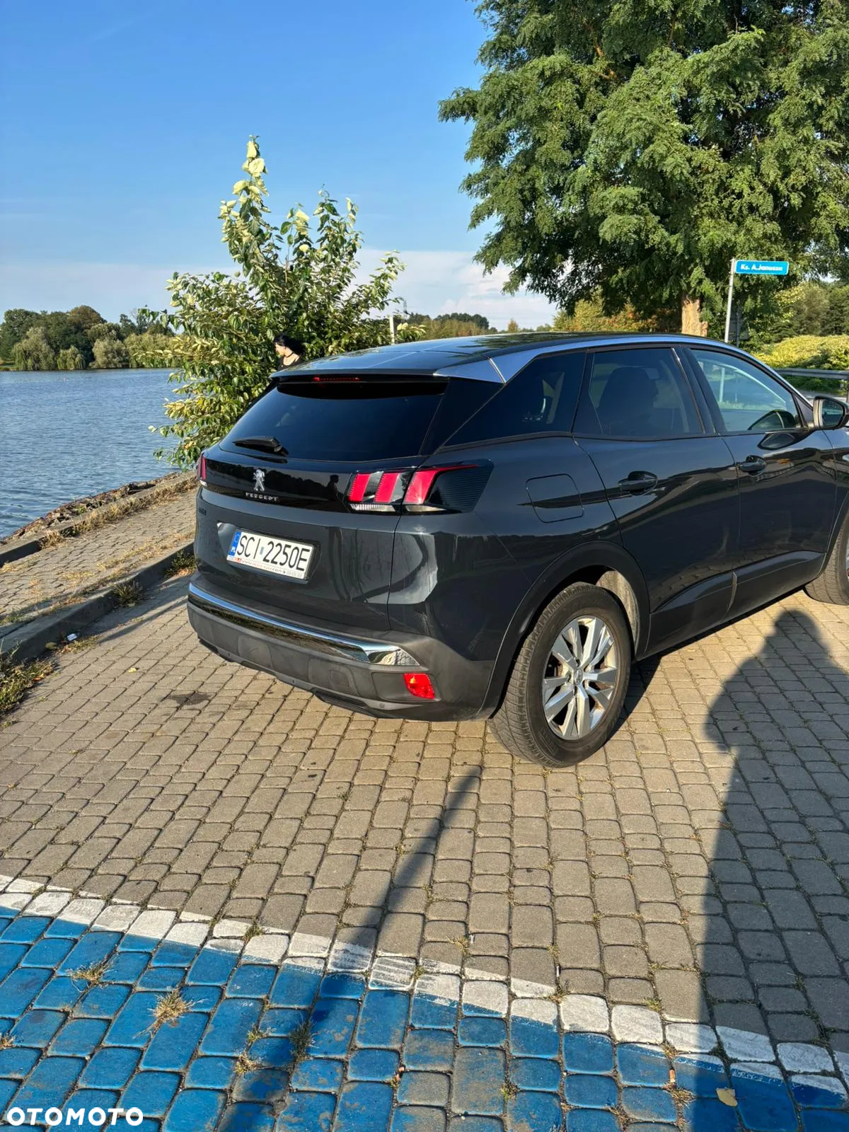 Peugeot 3008 1.6 BlueHDi Active S&S - 10