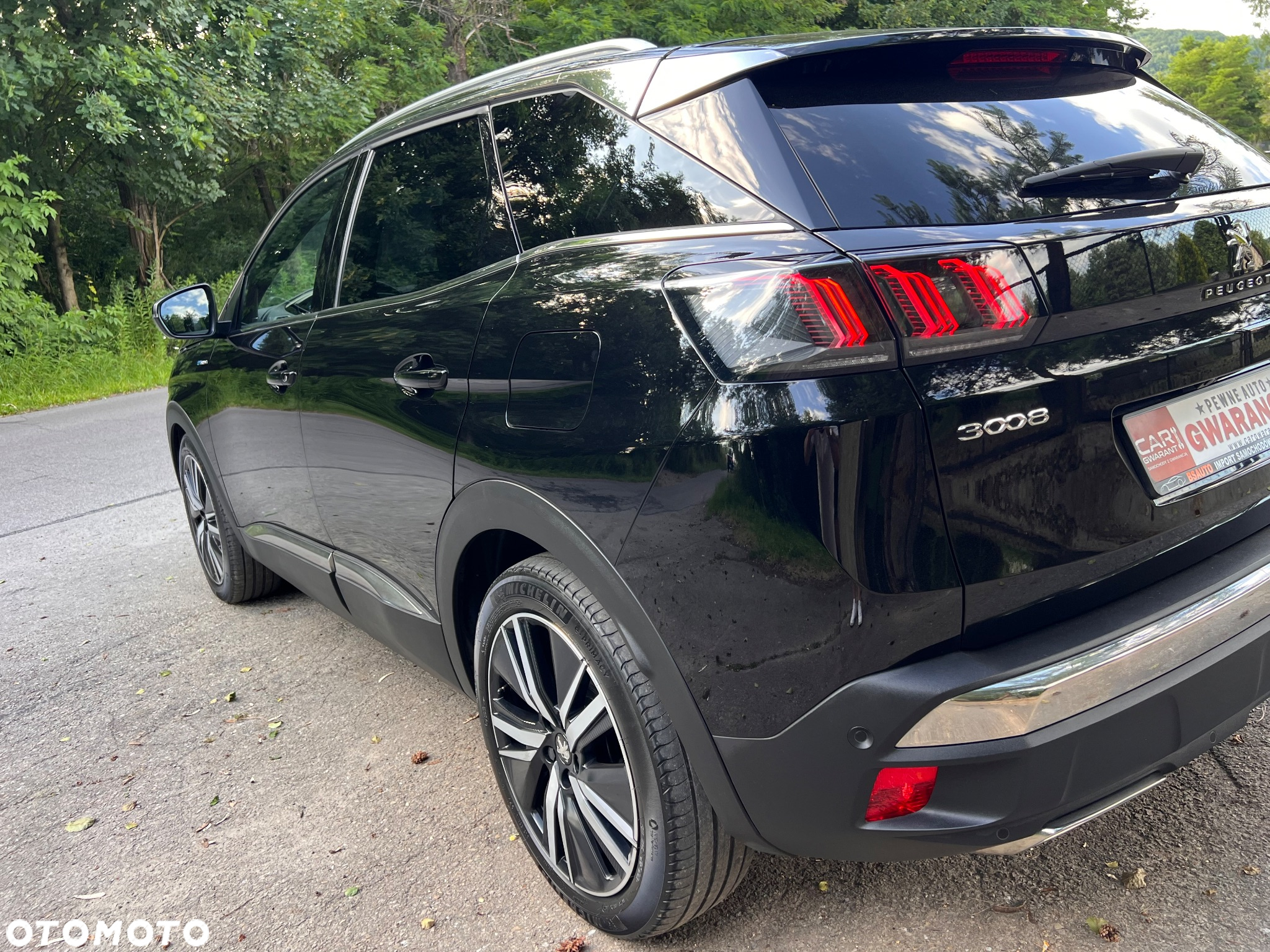Peugeot 3008 1.6 PureTech Hybrid4 PHEV GT S&S EAT8 - 19