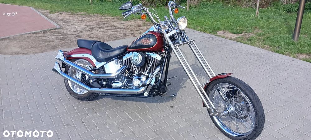 Harley-Davidson Softail Custom - 9